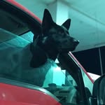 Nick Shapiro - @shapiro.nick - Instagram