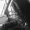Nick Shapiro - @nickshapiro - TikTok