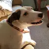 Nick Shea - @user3165465591961 - TikTok