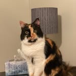 Nicholas Shealy - @nshealy_and_cat - Instagram