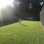 Nick Sheehy - @nicksheehy_ - Instagram