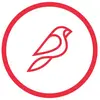 Nicksheehy100 - @nnicksheehy100 - TikTok
