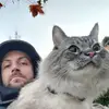 Nick Sheen - @nick.sheen2 - TikTok
