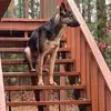 Nick82 - @nicksheets - TikTok