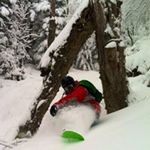 Nick Shepard - @nick.shepard.5811 - Instagram