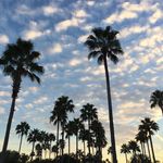 Nick Shepard - @nickshepard1000 - Instagram