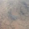 Nick Sheppard - @nick.sheppard01 - TikTok
