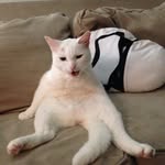 Nick Sherer - @nicksherer_s4 - Instagram
