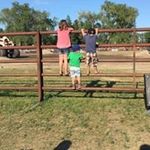 Nick Shier - @nick._shier - Instagram