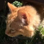 Nick Snavely - @snaverguy - Instagram