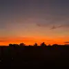 nikosederstrom - @nikosederstrom - TikTok