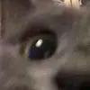 Deimy Nicole - @nick.solano - TikTok