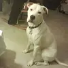 Nick “Nicky” Solano - @nick.nicky.solano - TikTok