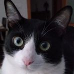 Nick Nick Sole - Facebook