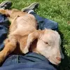 Nick Somers - @nick.somers71 - TikTok