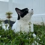 Nick - @nickmac_something - Instagram