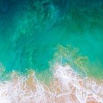 Nick Sorensen - @nick.w.s - Instagram