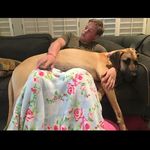 Nick Sorensen - @nick_f_sorensen - Instagram