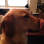 Nick - @nick.sovich - Instagram