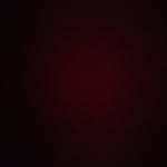 Nick Specht - @nick.specht - Instagram