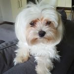nick - @nick_franke_spilmann - Instagram