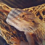Nick Spilman - @nickspilman - Instagram