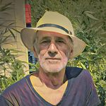 Nick Spinelli - @spinelli.nick - Instagram