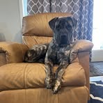 Nick Spires - Facebook