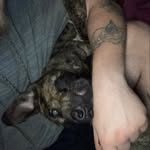 Nick Staley - @bushcraft_viking - Instagram