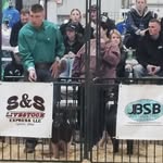 Nick Stambaugh - @stambaughnick - Instagram