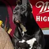 Nick_Stanko - @5tanko144 - TikTok