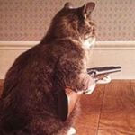 Nick Starling - @nick.starling.58 - Instagram