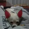 Nick Stathopoulos - @nikossta63 - TikTok