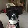 Nick Stathopoulos - @nick.stathopoulos - TikTok