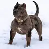 Nick Steel - @bullymode - TikTok