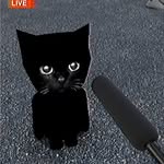 nick - @nicksteeves5 - Instagram