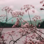 Nick Steffen - @nicksteffen - Instagram