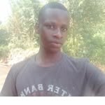 NickStern - @nickstern35 - Instagram