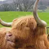 nickstillwell642 - @nickstillwell642 - TikTok
