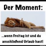 Nickstrobel - @nickstrobel4955 - Instagram