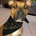 Nick Stumpf - Facebook