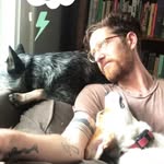 Nick Sturm - @nicksturm - Instagram