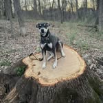 Nick Sublett - @nzsublett - Instagram
