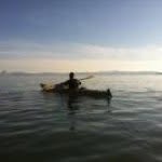Nick Suzuki - @suzukee - Instagram