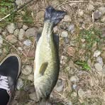 Nick Swan - Facebook