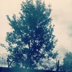 crazy - @nick_sweet__ - Instagram