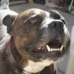 Nick Sweetman - @sweetmannick - Instagram