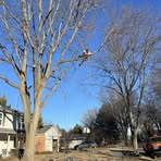 Nick Swenson - Facebook