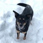 Nick Swenson - @by_nickswenson - Instagram