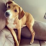 Nick Swope - @nick.swope.18 - Instagram